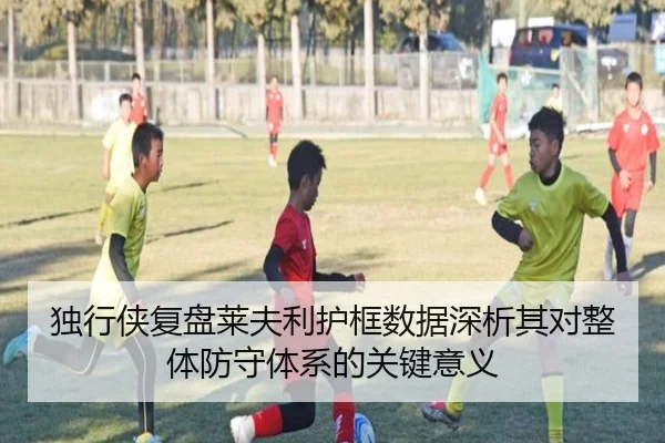 独行侠复盘莱夫利护框数据深析其对整体防守体系的关键意义